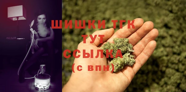 дмт Абаза