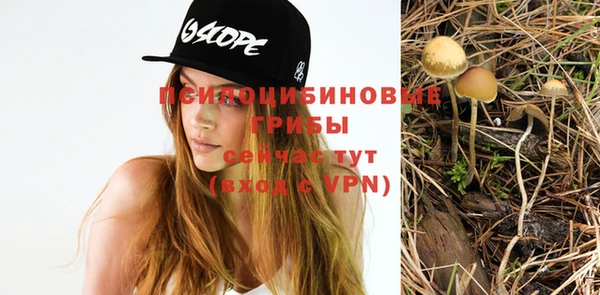 дмт Абаза
