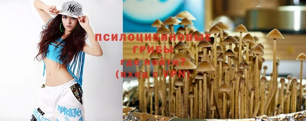 дмт Абаза